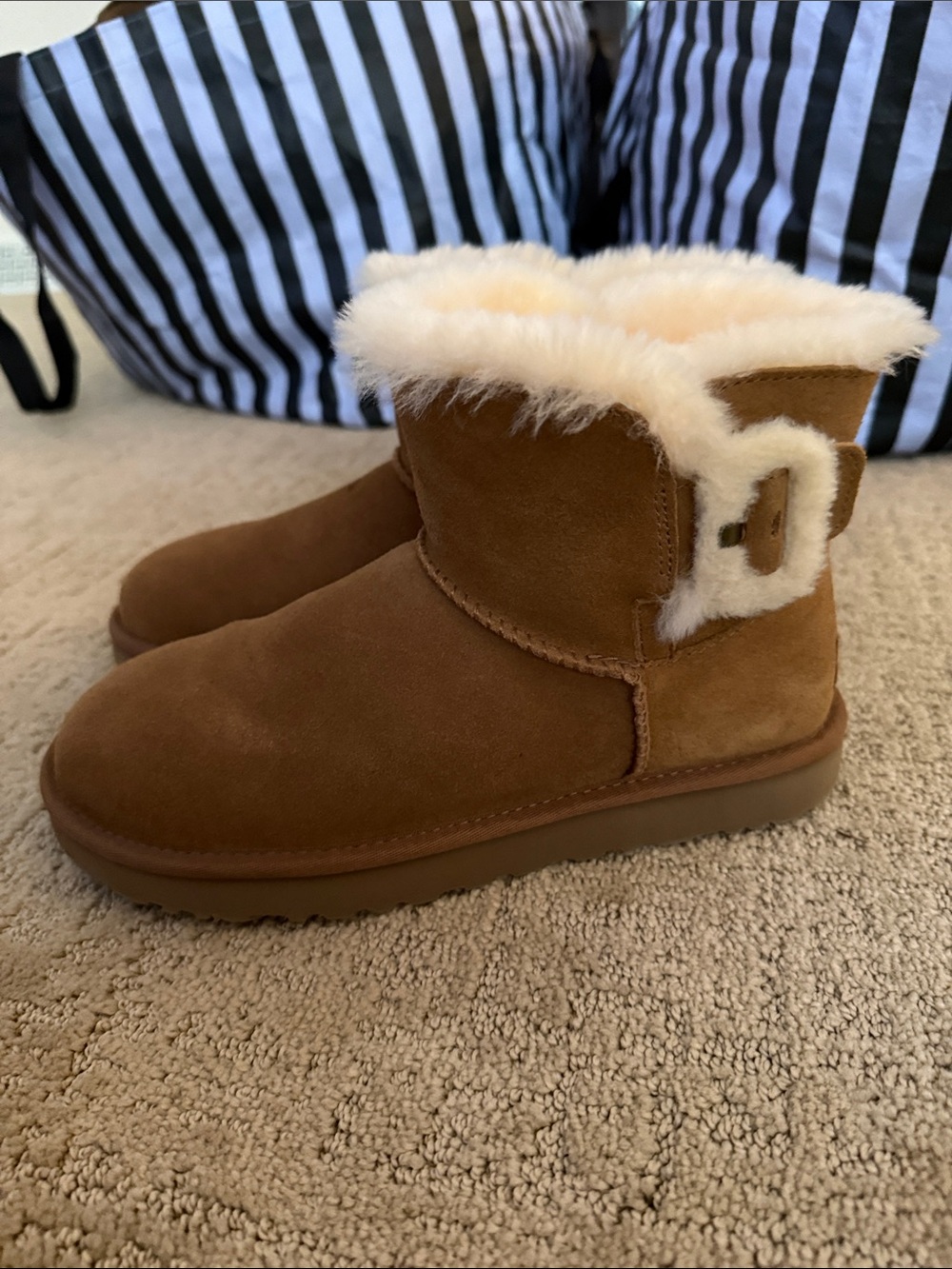 Ugg book